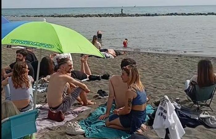 Unfavorable weather. CoNaMaL gives up on “taking back” the Rimini beach • newsrimini.it