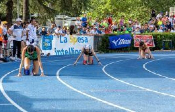 Cosenza. The great athletics at the Coni school camp: the results of all the challenges of the Meeting
