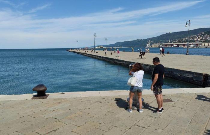 Trieste, the Bora blew away most of the mucilage. But the worry remains that they will return