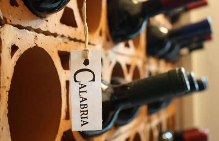 Wines from Calabria, for a “revolution” like that of Cirò, the awareness of restaurateurs and consumers is needed