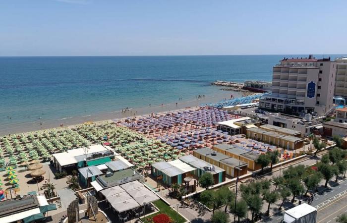 Pesaro, Apa Hotels chooses Marco Filippetti as new president – News Pesaro – CentroPagina
