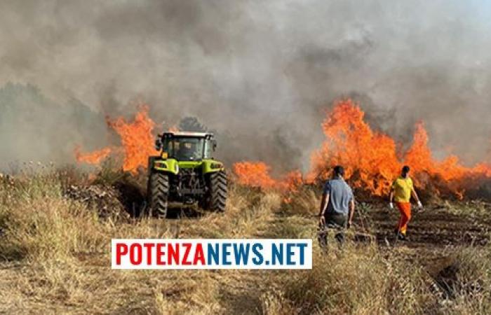 dangerous fire in the province! Volunteers, farmers, firefighters, civil protection, Carabinieri at work
