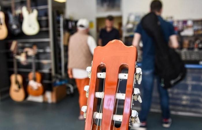 Modena, hundreds of musicians scammed. «Buy an instrument, we’ll refund you» La Nuova Ferrara