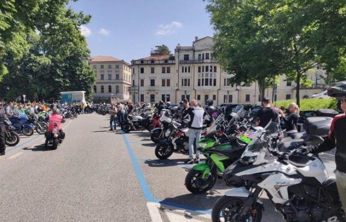 «a weekend with 8 thousand visitors» – Nordest24