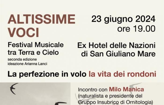 The life of swifts. Meeting and concert for “Altissime voci” • newsrimini.it