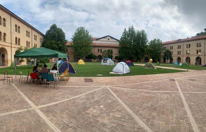 Ancona, Gulliver Udu’s university students in tents in protest – News Ancona-Osimo – CentroPagina