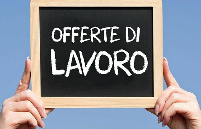 Are you looking for work in Trentino? Here are the offers for Monday 24 June