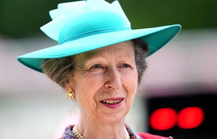 Princess Anne, sister of Charles III, hospitalized after an accident: “Injuries, concussion”