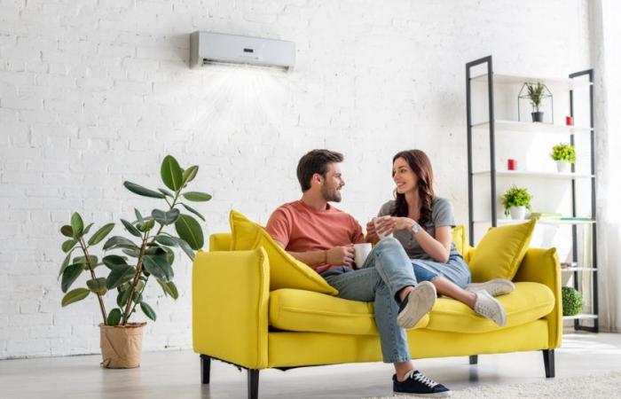 Air conditioners: how to save without gasping. ENEA advice
