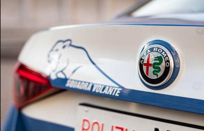 Massive thefts, threats and harassment at Eurospin and Eurospar – Bolzano Police Headquarters