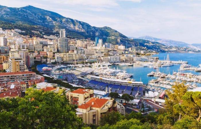 Recycling, what is the gray list in which Monaco risks ending up and which countries are part of it – QuiFinanza
