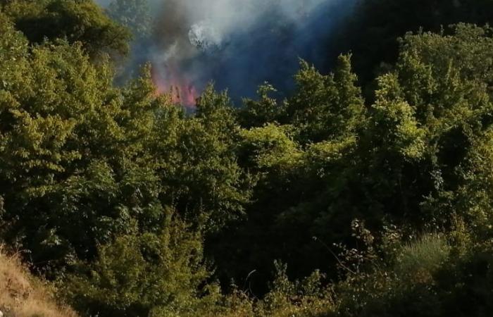 VEGETATION FIRE IN CAMALDOLI (NA), FIRE BRIGADES FROM BENEVENTO IN SUPPORT DESTROY PART OF THE SANNITA TERRITORY
