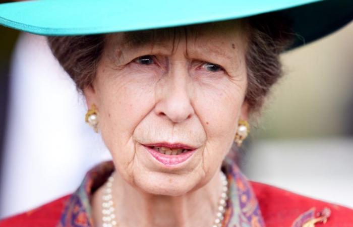 Princess Anne is in hospital due to a domestic accident: how is she –