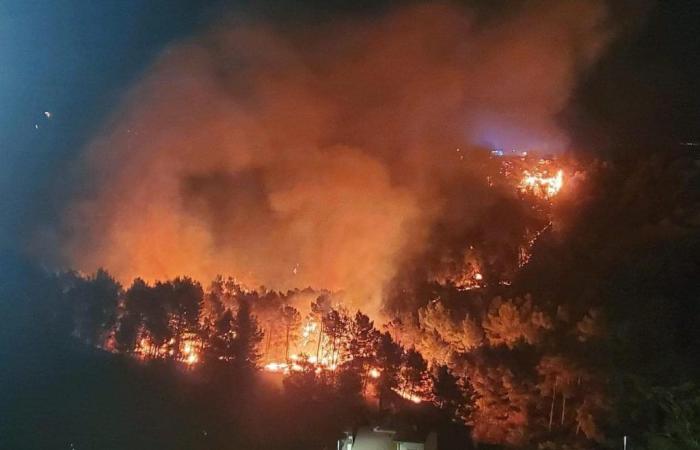 Calabria, the Rocca Imperiale forest is burning, there is controversy over the rescue efforts