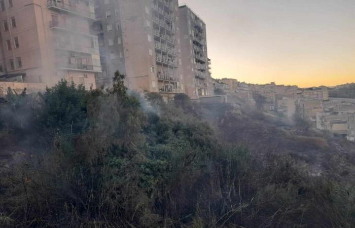 Fires in Agrigento, fear and damage: firefighters avoid disasters with rapid interventions