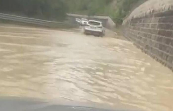 Bad weather. Critical issues in the Forlì Apennines with flooding and runoff