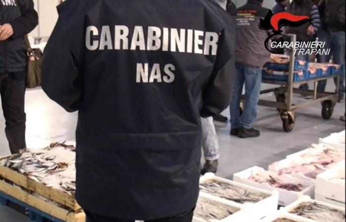 Seizure of fish products in Mazara del Vallo: almost a ton of goods blocked by the Carabinieri