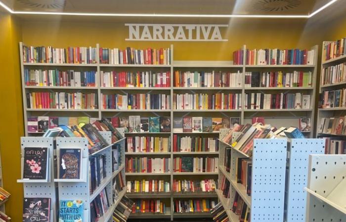 Publishing: green light from AGCOM, Messaggeries majority in the Libraccio Group (62 bookstores in Italy)