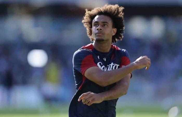 Milan and Juventus, Zirkzee turning point: they pay the bomber’s clause