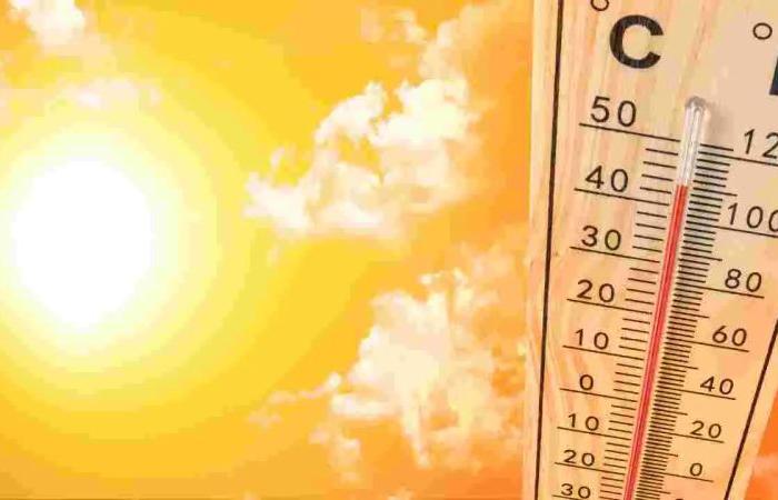 » The Teramo Local Health Authority activates the heat plan: a series of measures to manage heat-related emergencies
