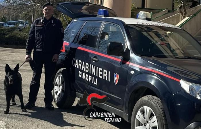 The Carabinieri of Teramo arrest the owner of a bar and another man for drug dealing.