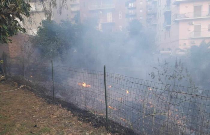 Fires in Agrigento, fear and damage: firefighters avoid disasters with rapid interventions