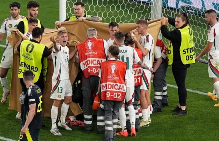 Euro 2024, fear during Scotland-Hungary: Barnabás Varga faints after contact with the opposing goalkeeper. “Several Broken Bones”