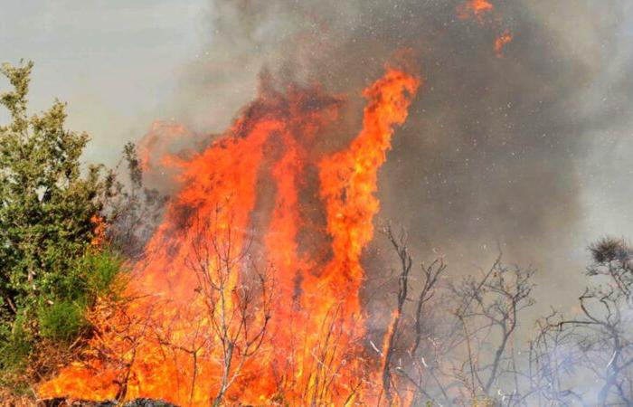 SULMONA: BAN ON LIGHTING FIRES IN THE WOODS TO PREVENT FIRES