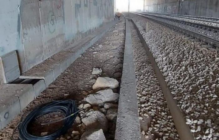 Tramway railway on its knees due to cable theft between Terlizzi and Bitonto