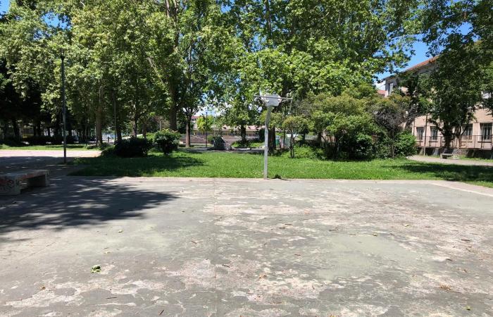 Basketball and volleyball courts in pieces, the gardens are forbidden to children – THE VIDEO – Turin News