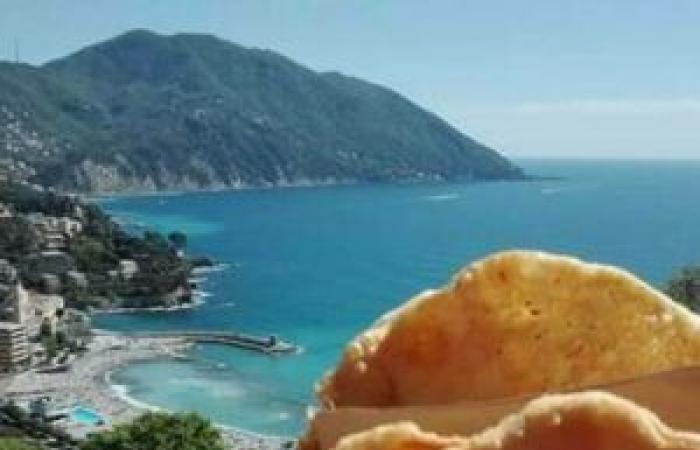 FLAVORS OF LIGURIA: DISCOVERING THE SUMMER FESTIVALS FOR EVENINGS OF TASTE AND FUN