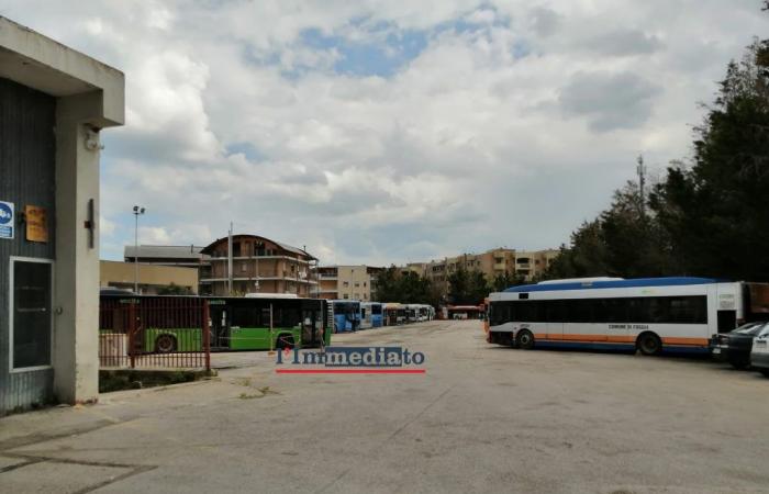Ataf Foggia, the company yard is freed up. 42 old buses are going up for scrapping