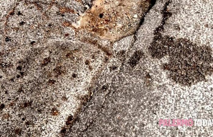 Dangerous road potholes in via Altofonte and piazza Turba: “Urgent intervention needed” :: Report in Palermo