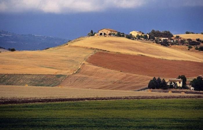 Tuscany, a 2 million tender for the training of agricultural entrepreneurs