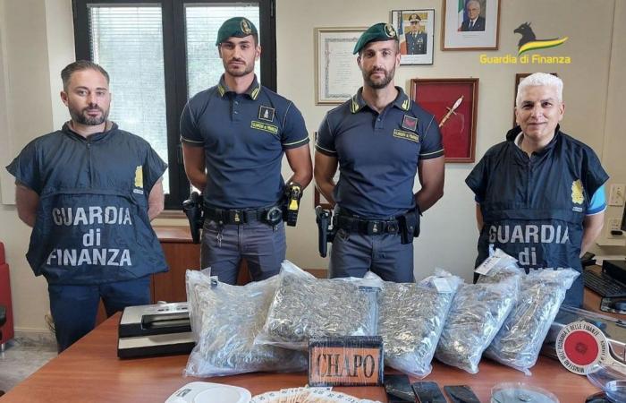 Marijuana and cocaine hidden among boxes of books and kitchen furniture, an arrest in the Vibonese area