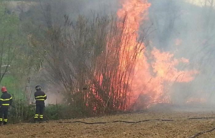 Forest fires, the Region renews the agreement with the Fire Brigade with 2.5 million