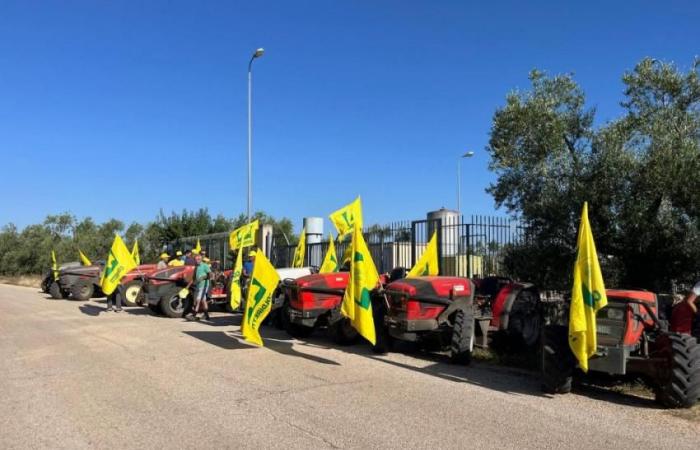 Drought, tractors chained in front of wells in Bitonto. The initiative of Coldiretti – PugliaSera