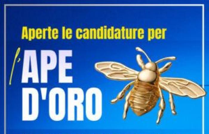 Terni, everything is ready for the first edition of the Ape d’Oro