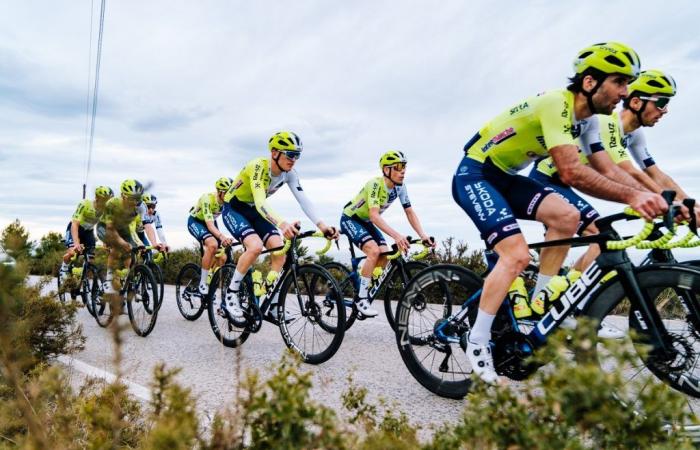 Tour de France 2024, Biniam Girmay the leader of an Intermarché-Wanty chasing stages – Lorenzo Rota absent