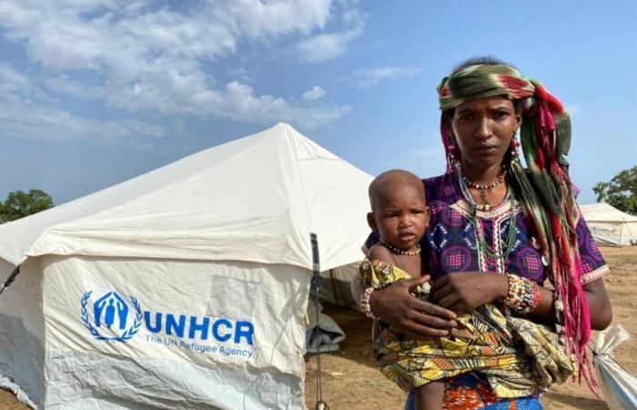UN: Refugee Agency calls for urgent international support in humanitarian crisis in eastern Chad