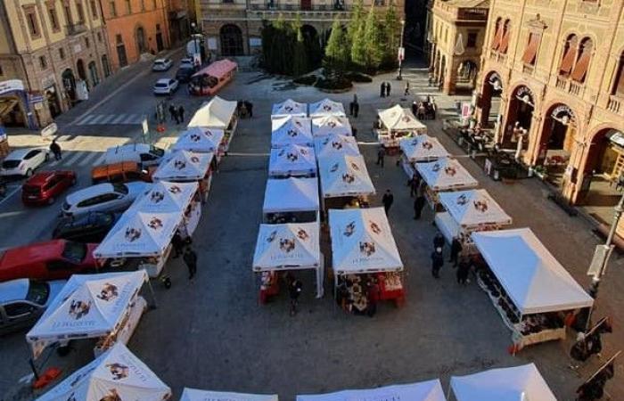 Pesaro, the artisans of the Marche region at the Port Festival