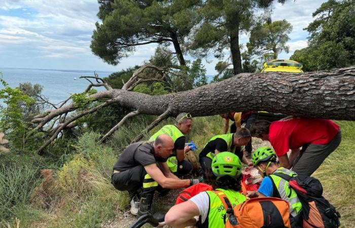 Elderly people missing in Trieste, Cnsas still engaged in searches. He rescued two women