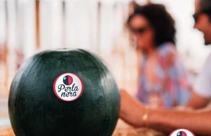 Italian watermelon wins the fruit and vegetable Oscar, here is the awarded consortium
