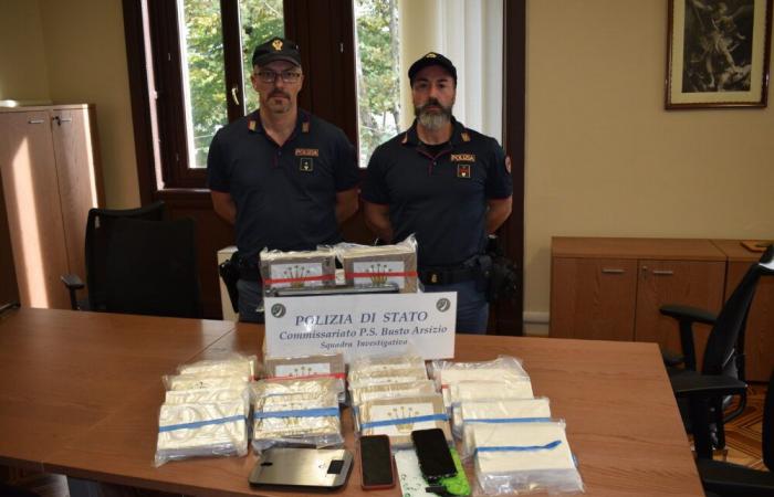 They sold cocaine and hashish wholesale in the province of Varese: criminal organization dismantled by the State Police