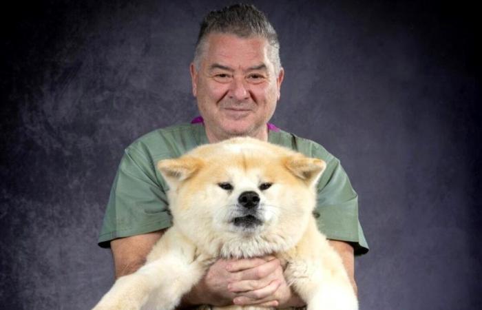 When animals save our lives, the book by veterinarian Alberto Brandi