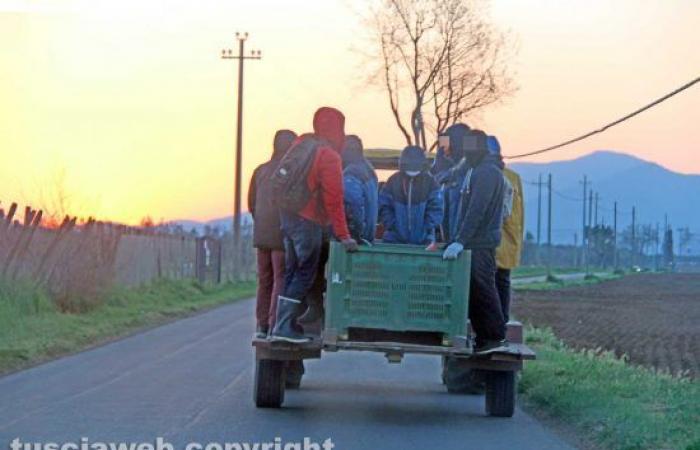 The investigations into the Tusciaweb laborers end up on the national pages of Repubblica