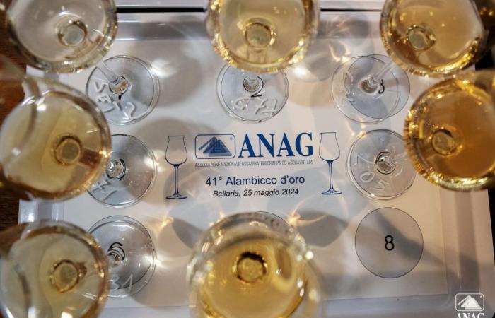 41st ANAG Alembicco d’Oro Competition: 78 medals for brandy, spirits and grappa – Agenfood