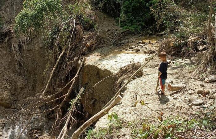 The road to Nuvoleto, the flood in Romagna, the landslide and the tenacity of the inhabitants