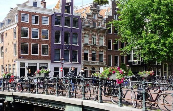 Are house prices rising? In the Netherlands the right-wing government increases social rents