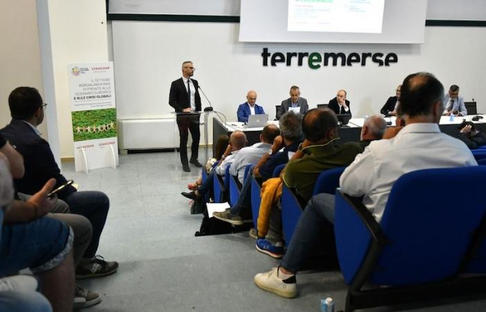Agri-food and fishing congress in Romagna and Imola: 23,200 members and 2.2 billion in production